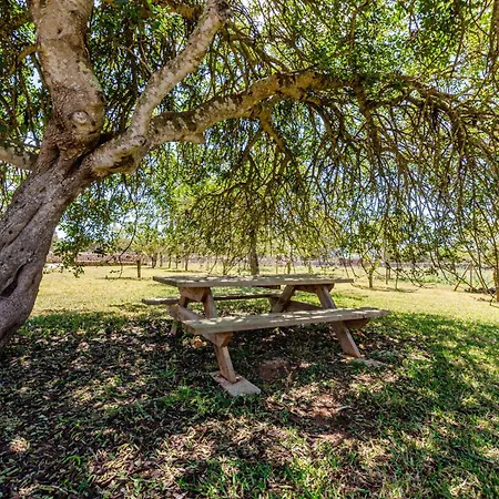 Guest house Yourhouse Porreti Sa Rota 3*